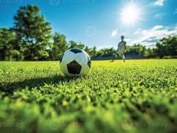 用户张女士体验足球预测分析推荐